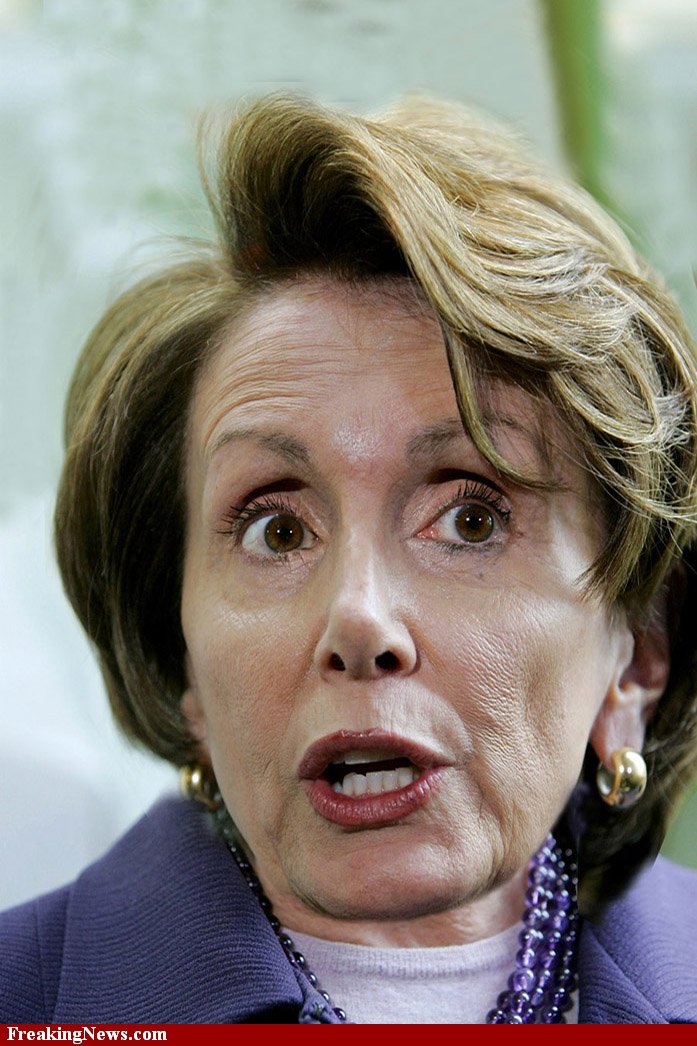 http://thefinereport.com/wp-content/uploads/2012/04/Nancy-Pelosi-37924.jpg