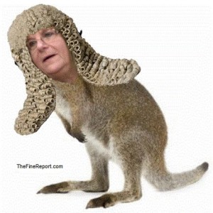 Zimmerman Kangaroo judge