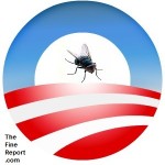 Obama logo with fly
