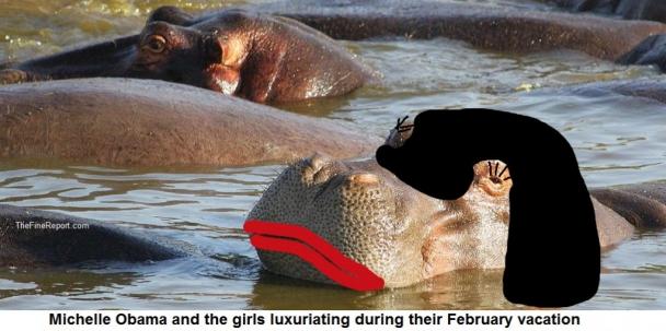 Hippos smaller
