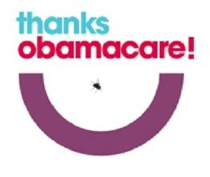 Thanks Obamacare with fly