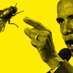 obama-and-fly.n