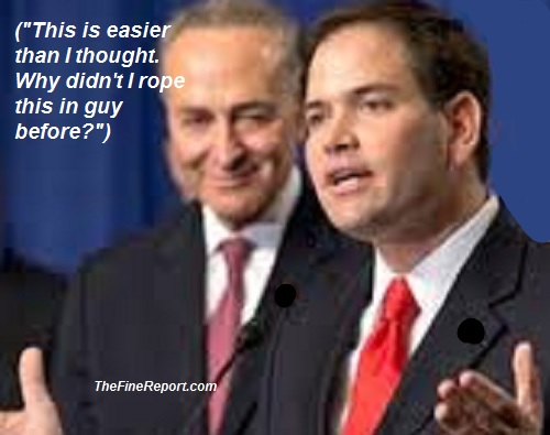 Rubio and Schumer