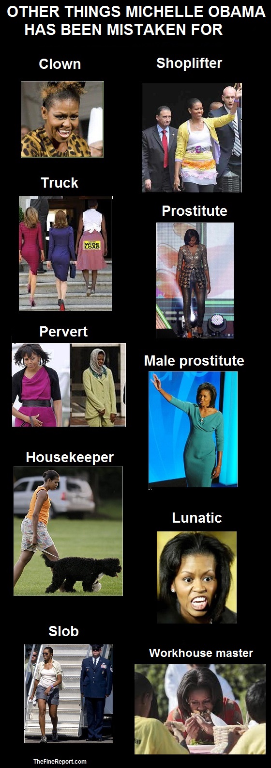 Michelle Obama other things mistaken for