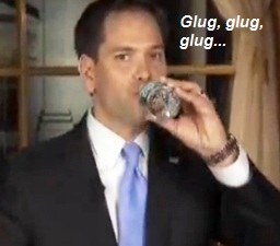 Rubio drinking