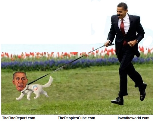 Boehner dog