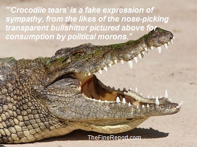 Crocodile