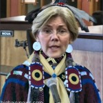 Elizabeth Warren indian