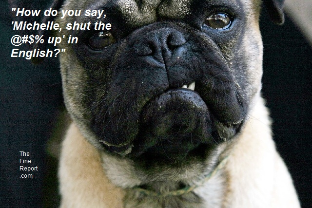 Angry pug edited